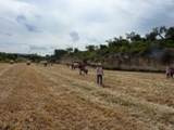 Clicca qui per vedere l'immagine in dettaglio
